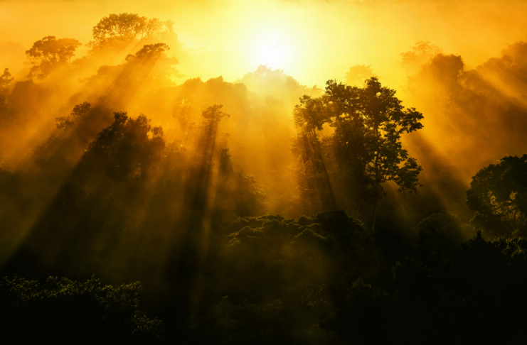 Natura