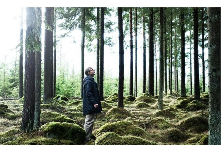 ¿Para qué ha comprado IKEA un bosque en Georgia (EE. UU.)? - Just Retail