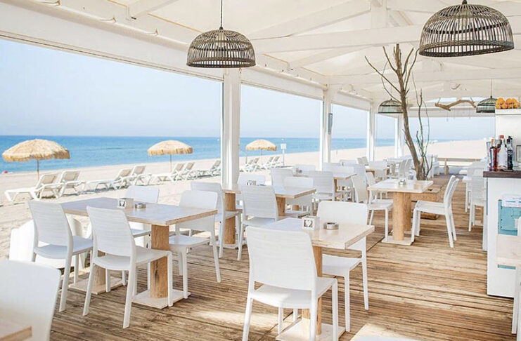 Grupo Iguana jardines Ànecblau apertura noticias retail