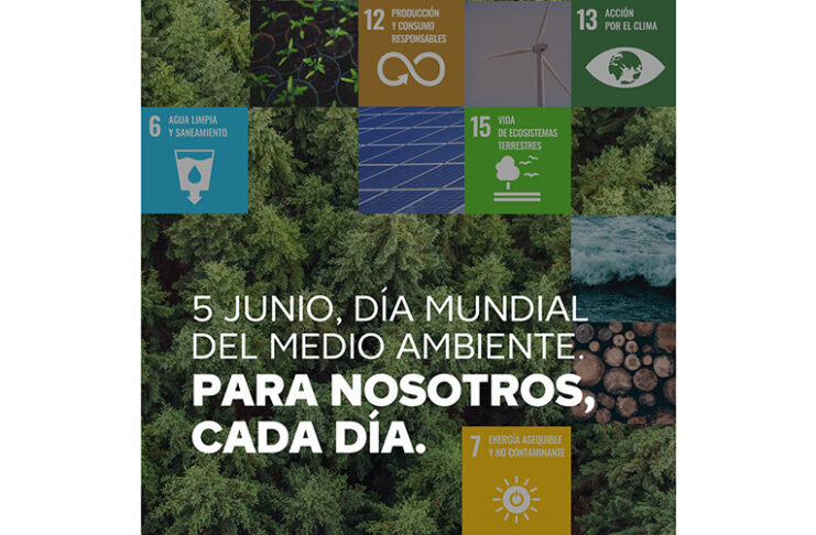 Brico Depôt Día del Medio Ambiente ODS noticias retail