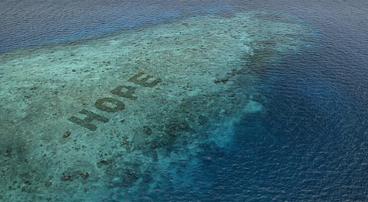 Mars Sheeba recuperación océanos arrecifes coral noticias retail