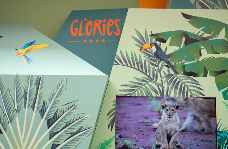 Glòries proyectos startup Corea noticias retail