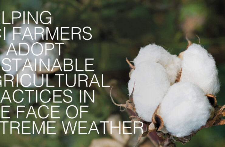 Tendam Better Cotton Initiative producción algodón noticias retail