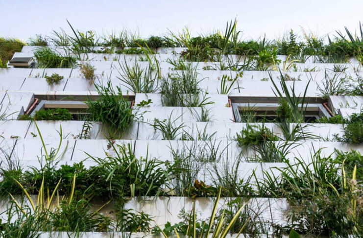 Colliers criterios ESG sostenibilidad inversión Europa sector inmobiliario noticias retail