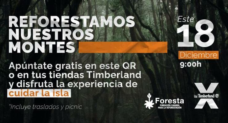 Timberland acción forestal