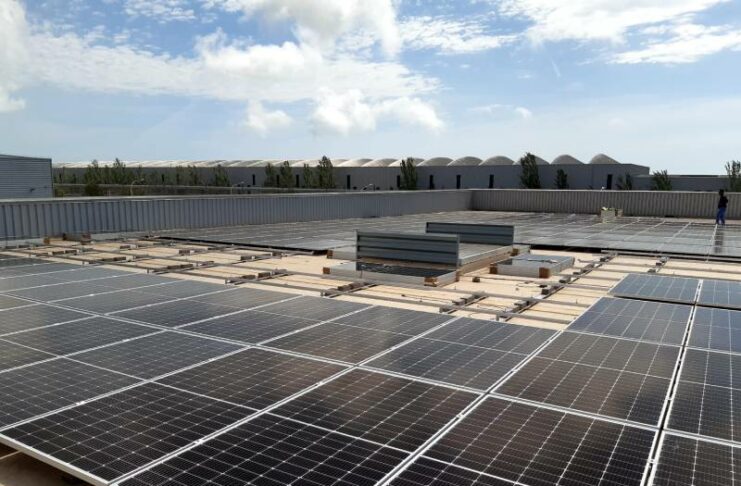 Makro energía