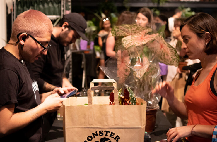 Monstera Valencia 3