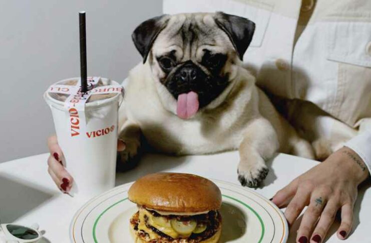 Vicio