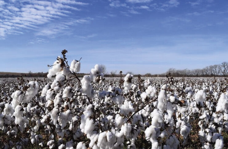 US Cotton Trust Protocol
