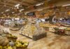 Ametller Origen abre en Molins de Rei su tienda más grande, con 1.000 m² de sala de ventas